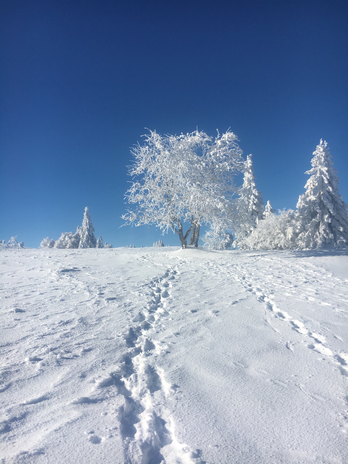 Arrivée sur la crête…avec le soleil ☀️
Hélas, ça ne durera pas!