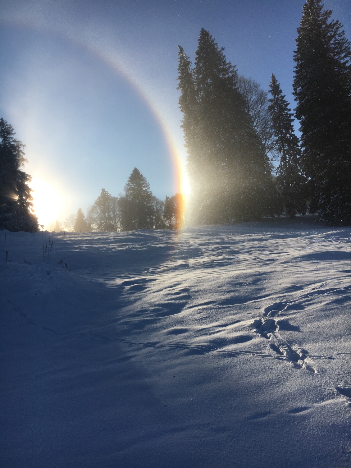 Un arc en ciel 🌈 Le Climat doit vraiment être déréglé !