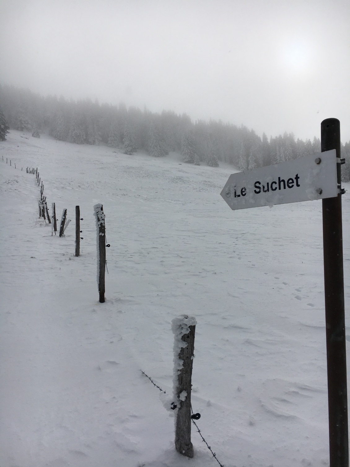 J’ai zappé la montée finale au Suchet…pour cause de brouillard 🌁