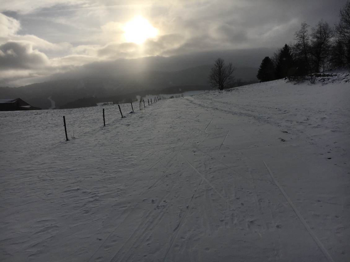 Arrivée directement sur Jougne par les pistes qu’emprunte Didier ( Durand) tous les jours.
Petit café chez lui au passage ☕️