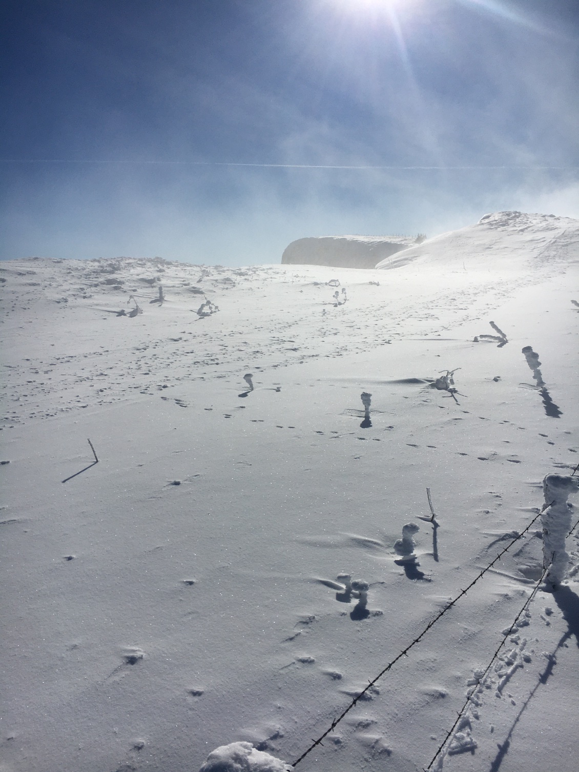 Sur les crêtes du mont d’or !