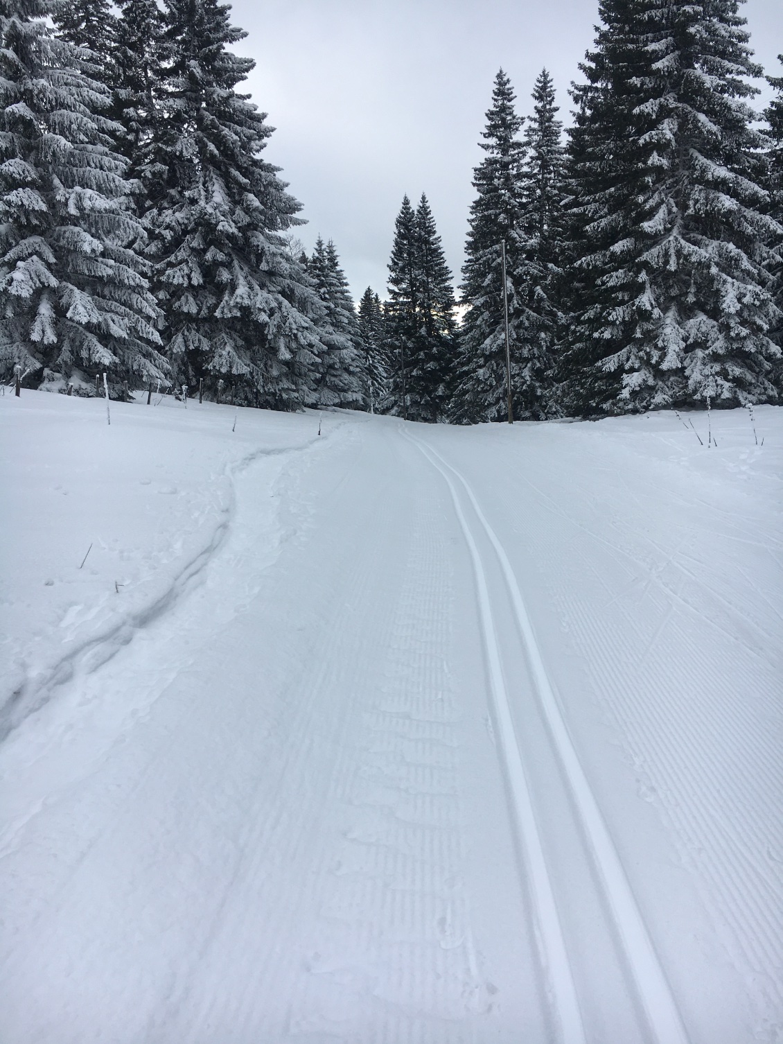 Sur la TJS (Traversée du Jura Suisse).