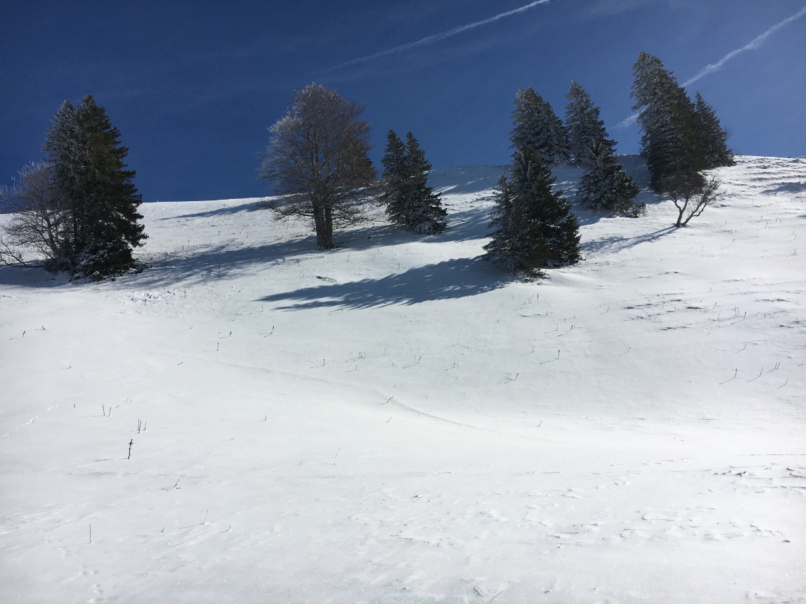 Jolie descente hors trace !🎿