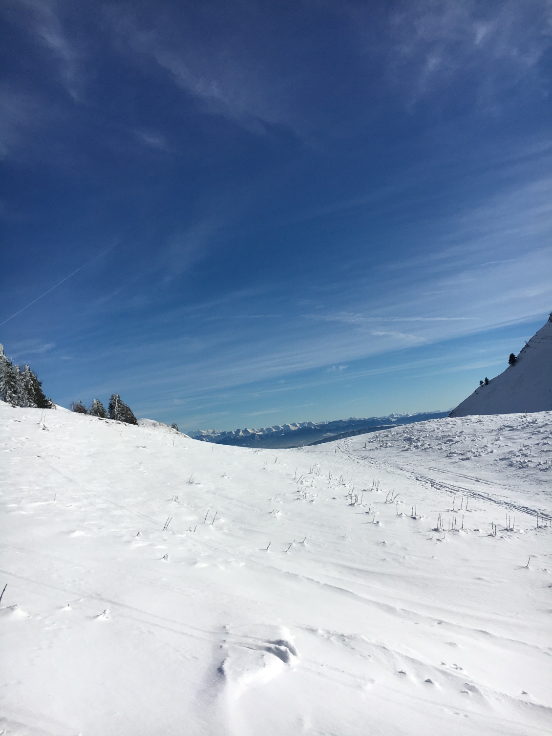 En direction du Grand Montrond depuis le col de la Faucille !🤩