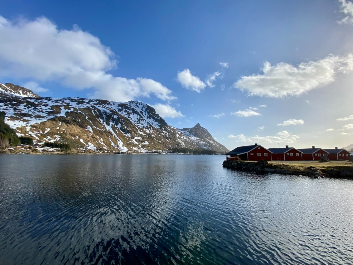 Kongsjordpollen