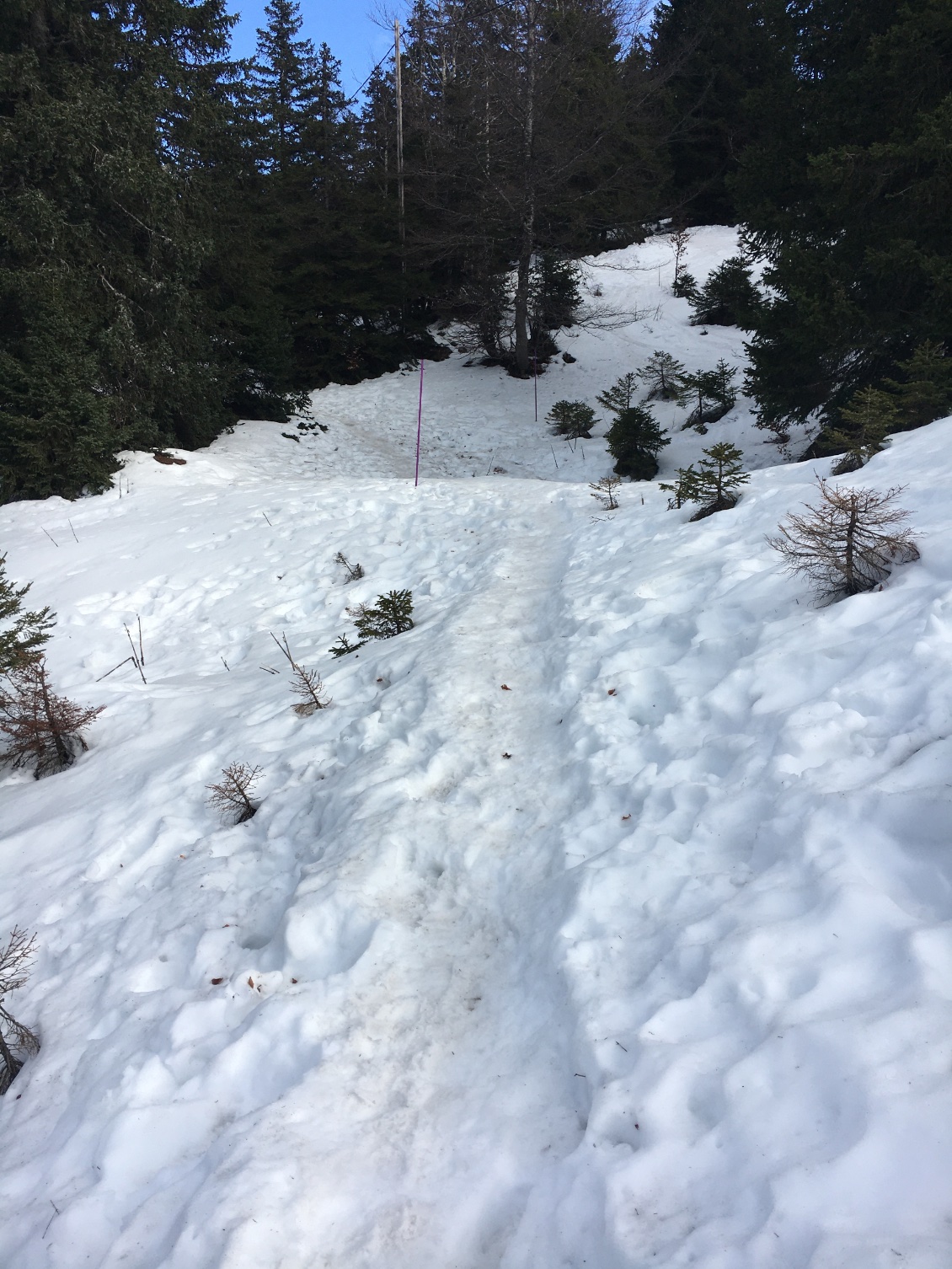 Le chemin qui mène au refuge.