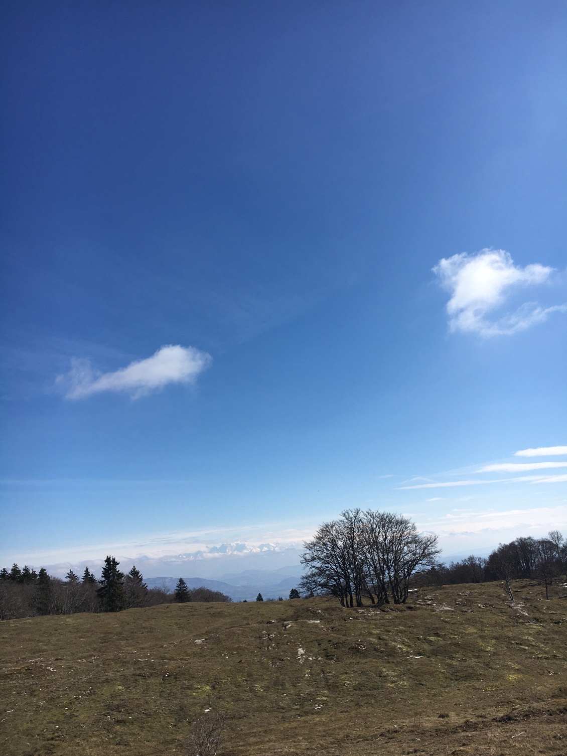 Les Alpes au fond 🤩