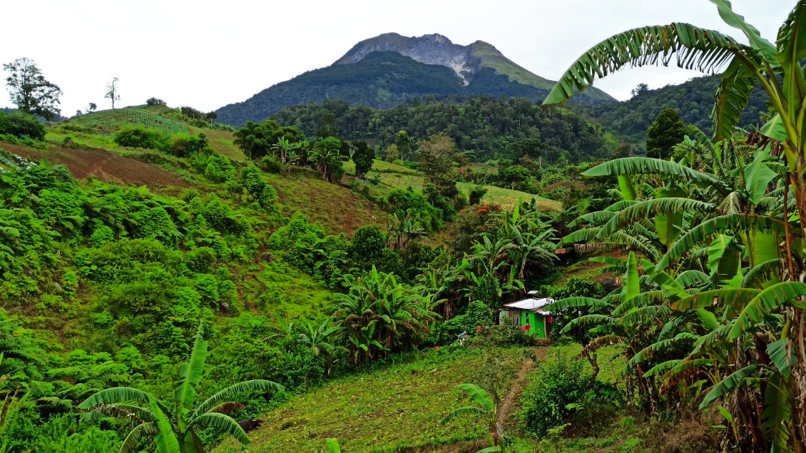 Le Mont Apo.