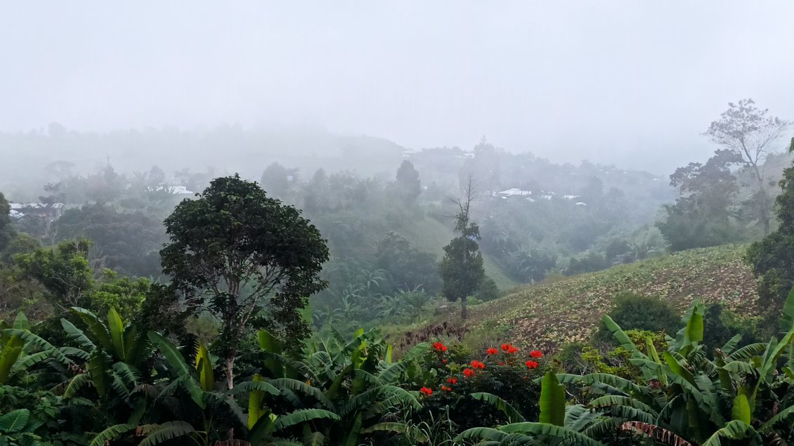 Retour à la civilisation et aux plantations.