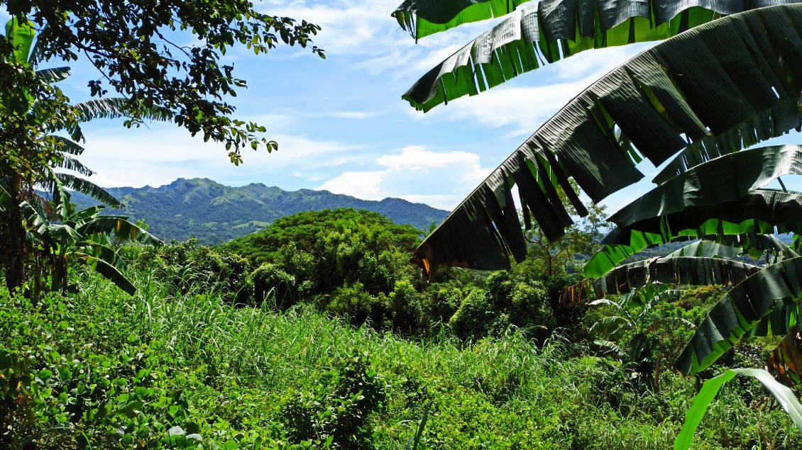 Randonnée à Tagaytay.