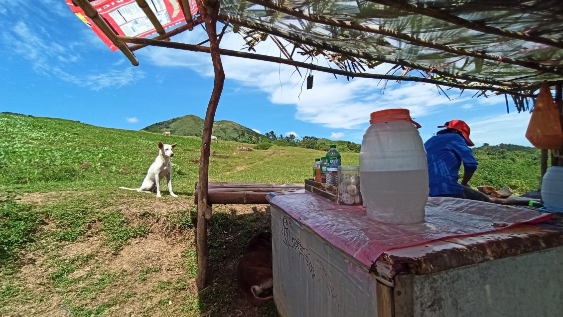 Randonnée à Tagaytay. Préparation d'une noix de coco pour en extraire le jus et le boire.