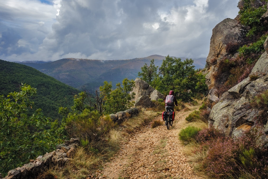 Forêt de Ramponenche. Sur la GTMC près de Florac.
Photo : Guillaume Hermant