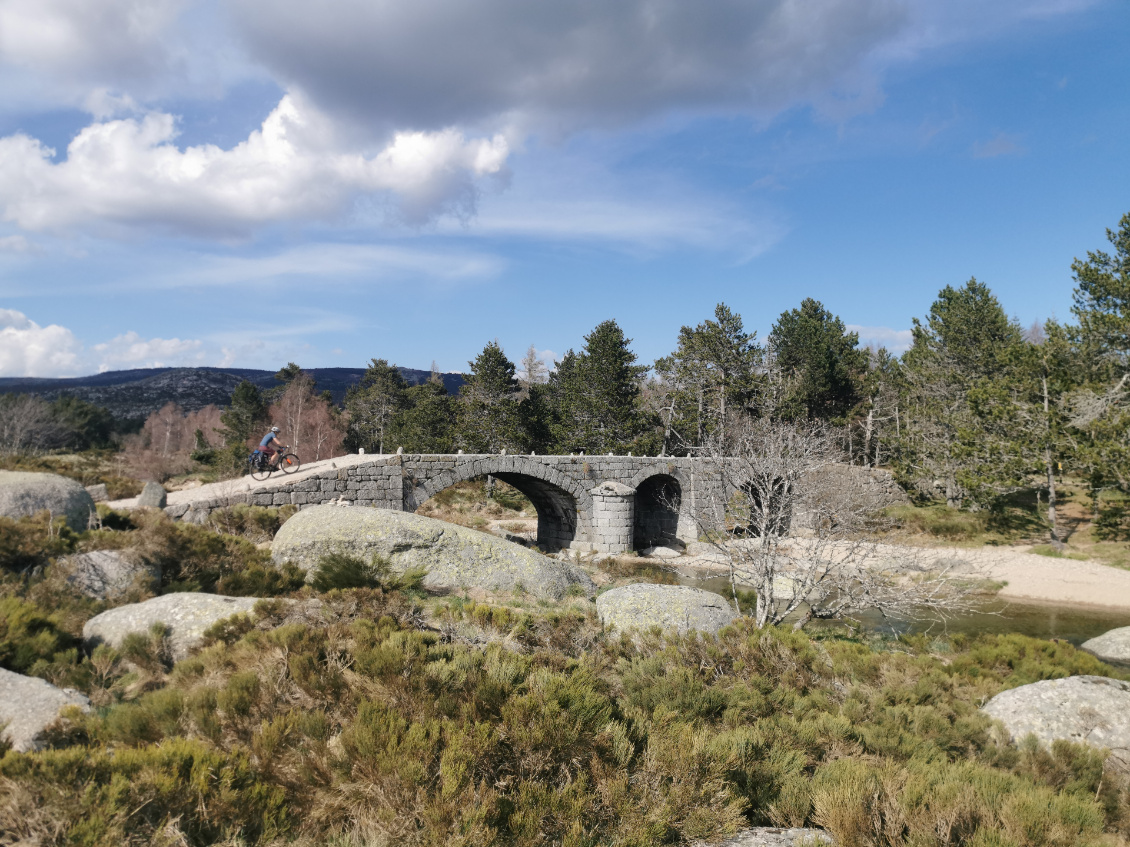 Sources du Tarn, mont Lozere.
Photo : Marianne Roche