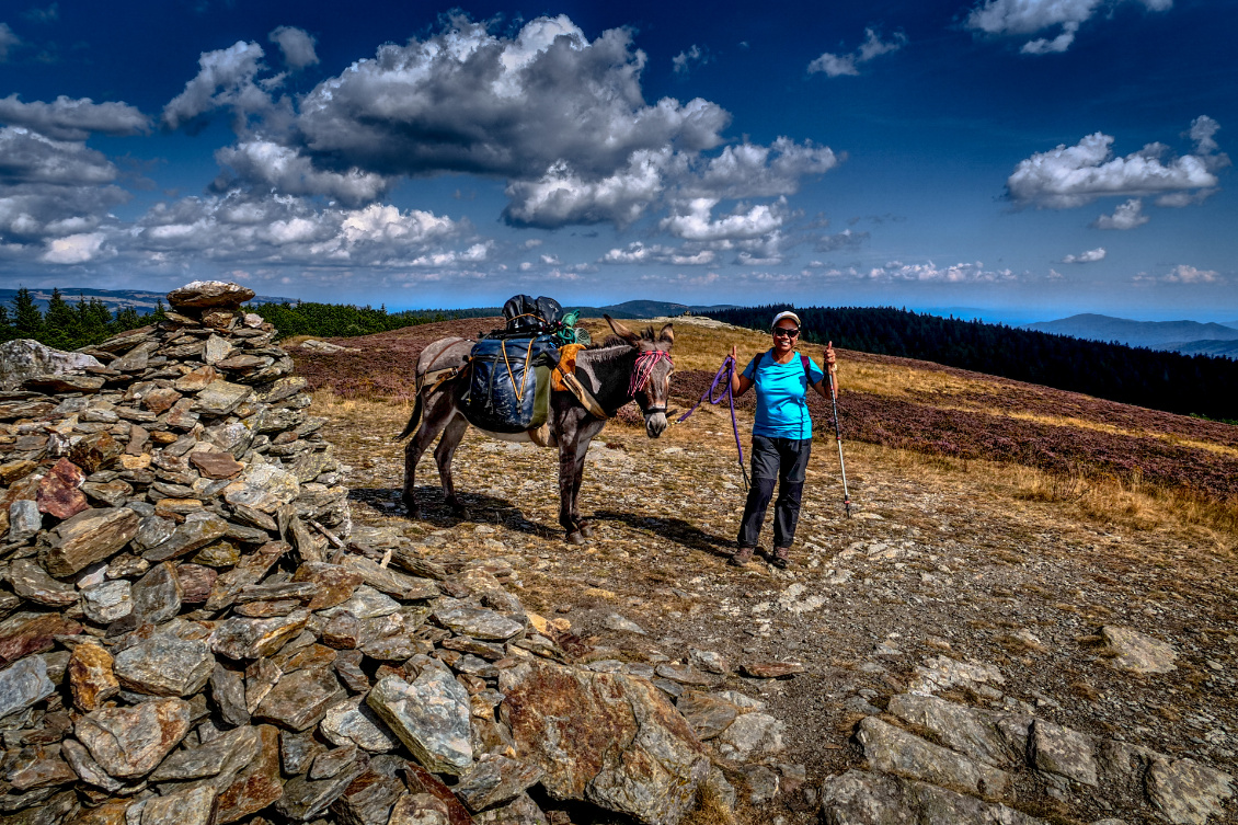 Chemin de Stevenson.
Photo : Philippe Jacq