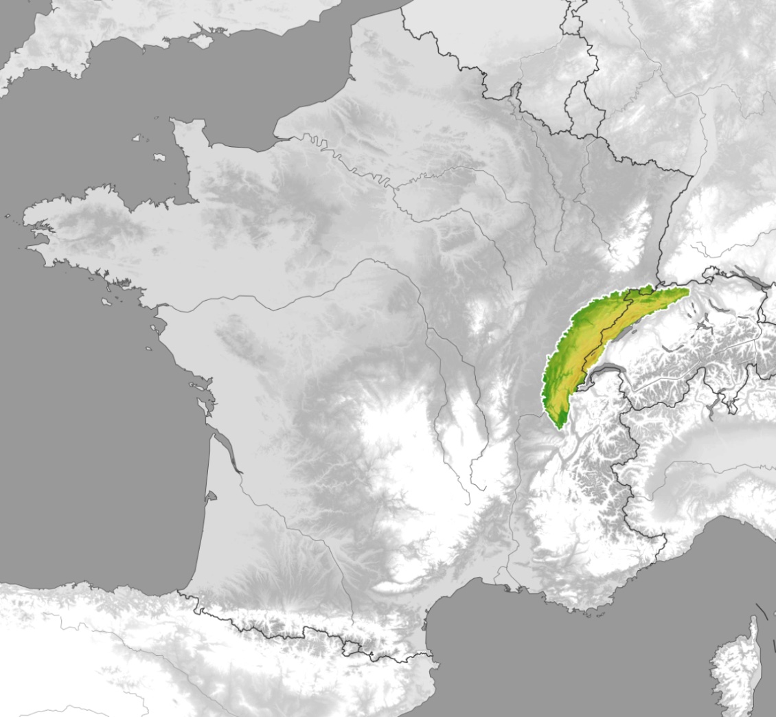 Le classique « croissant »