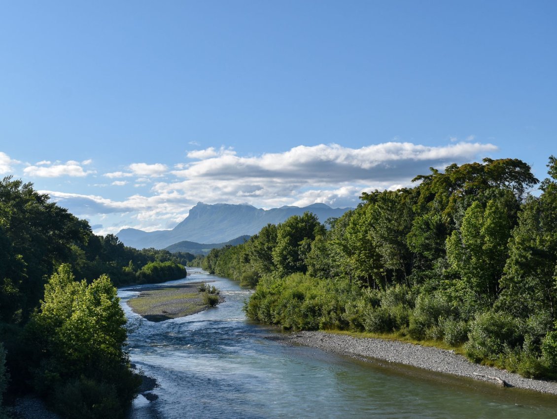 Vue sur la forêt de Saou depuis Crest (Drôme)