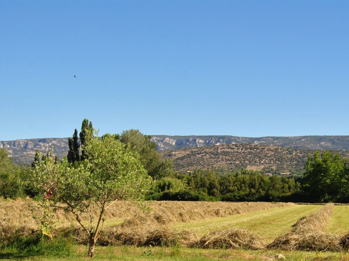 Vue face Sud du Luberon (et une petite hirondelle)