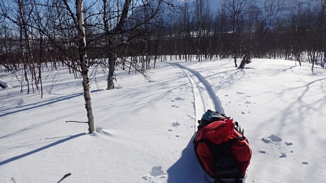 Quel plaisir de tracer dans la neige vierge...