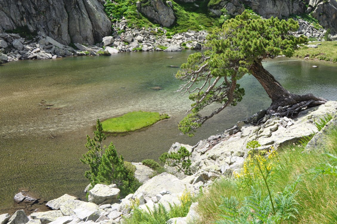 En descendant vers le refuge Ventosa i Calvell