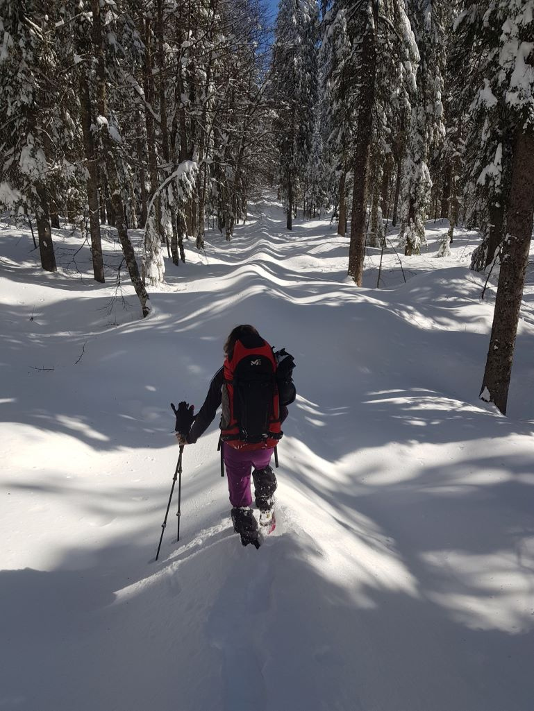 Itinérance hivernale jurassienne (forêt du Risoux), 2021