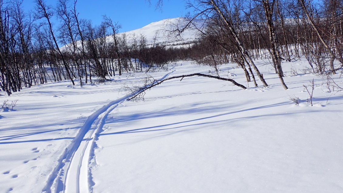 A ski-pulka on apprend vite à suivre les courbes de niveau et les cours d'eau.
