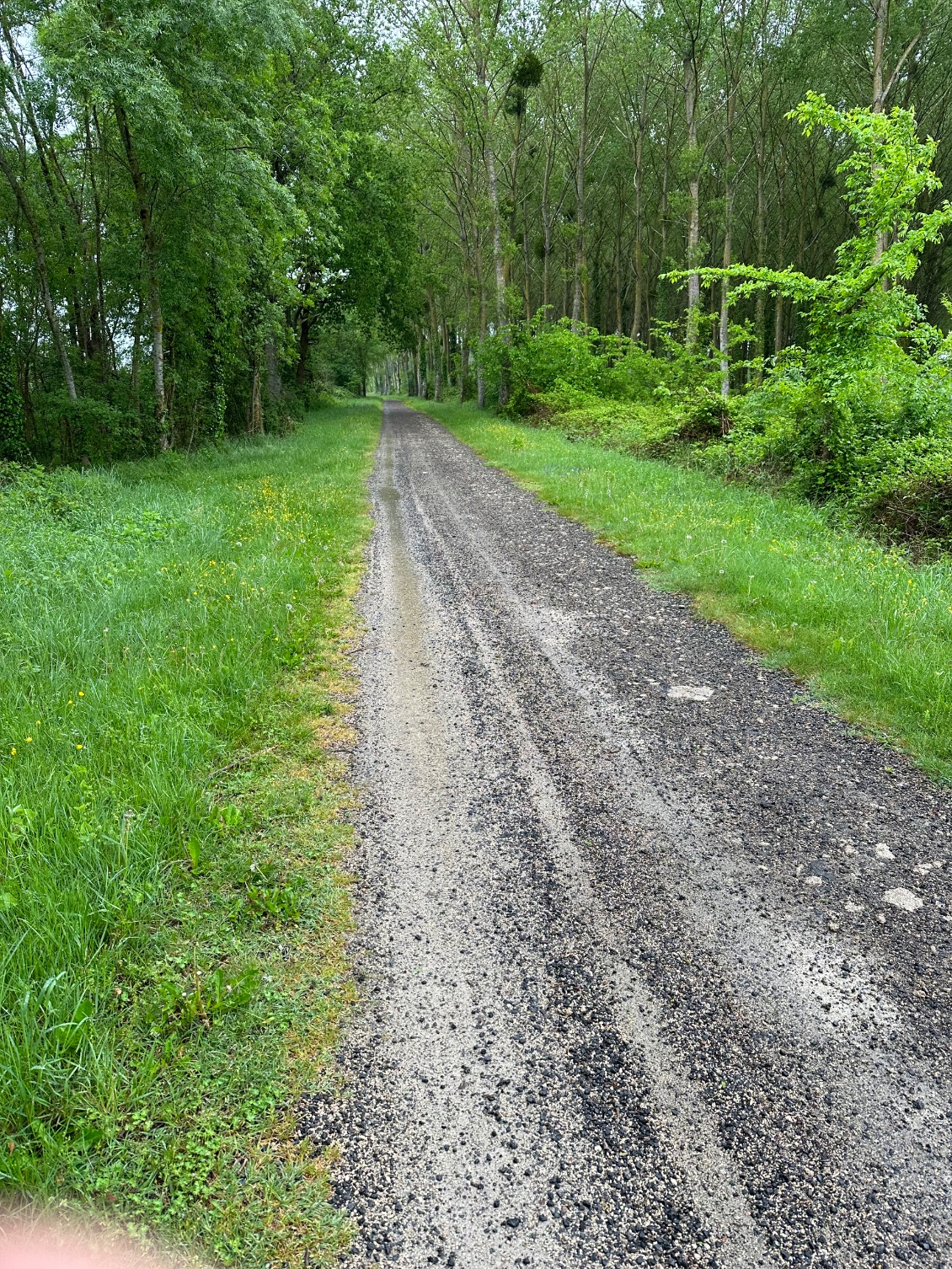 Section 1