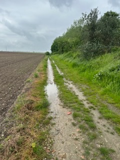 Pas toujours facile la trece