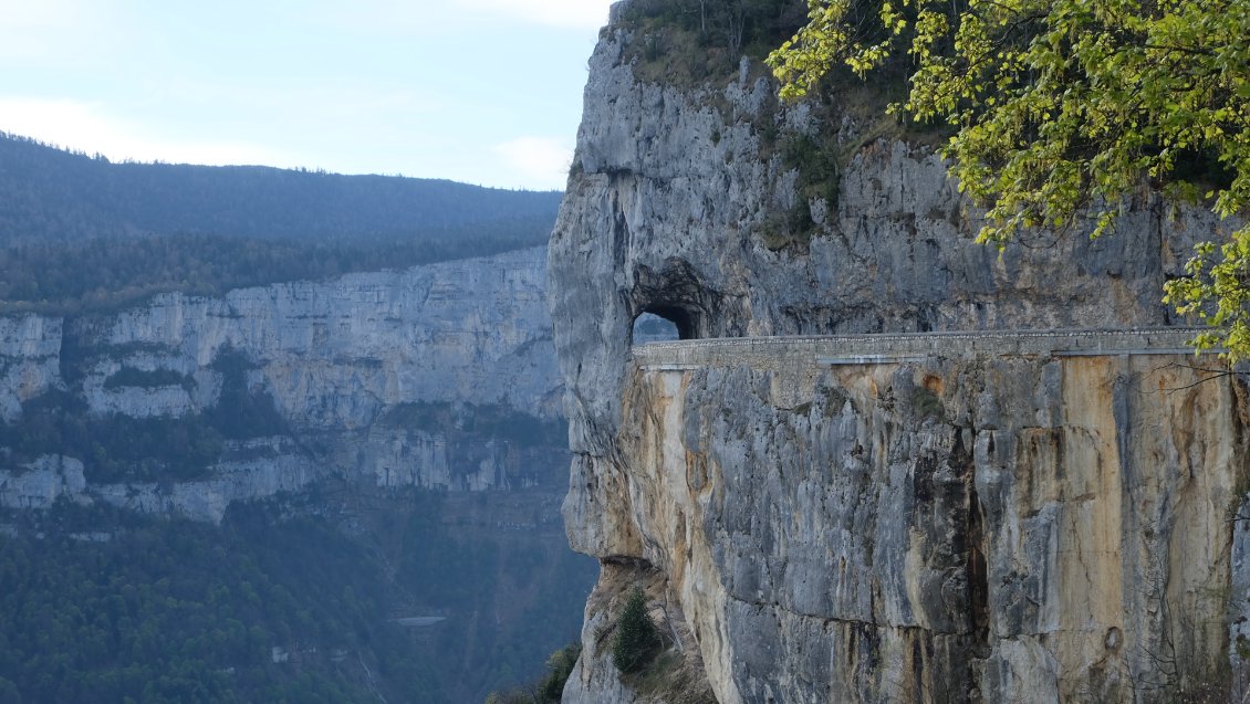 L'éléphant de la combe Laval