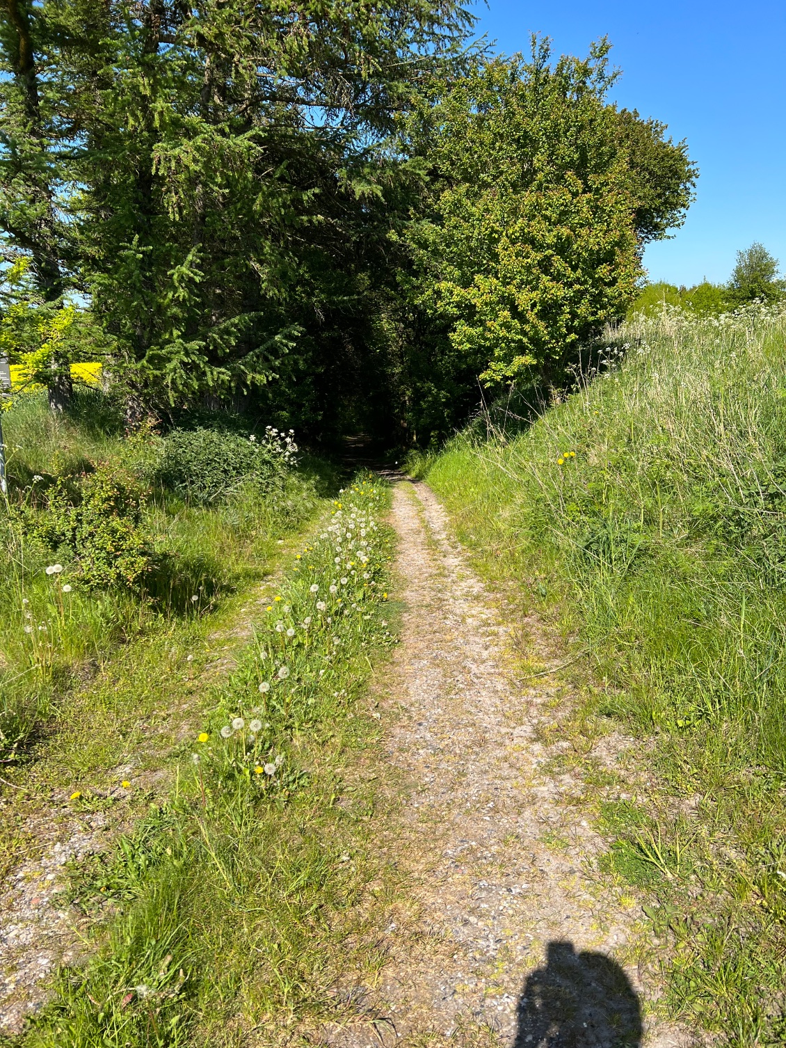 Quelques traces pas toujours simples