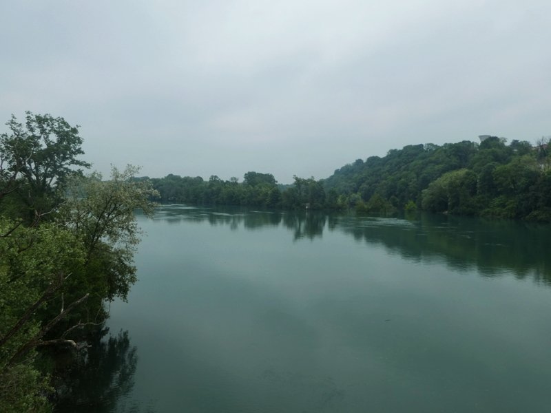 Le Rhône en amont du pont de Jons, après avoir absorber la riviere Ain