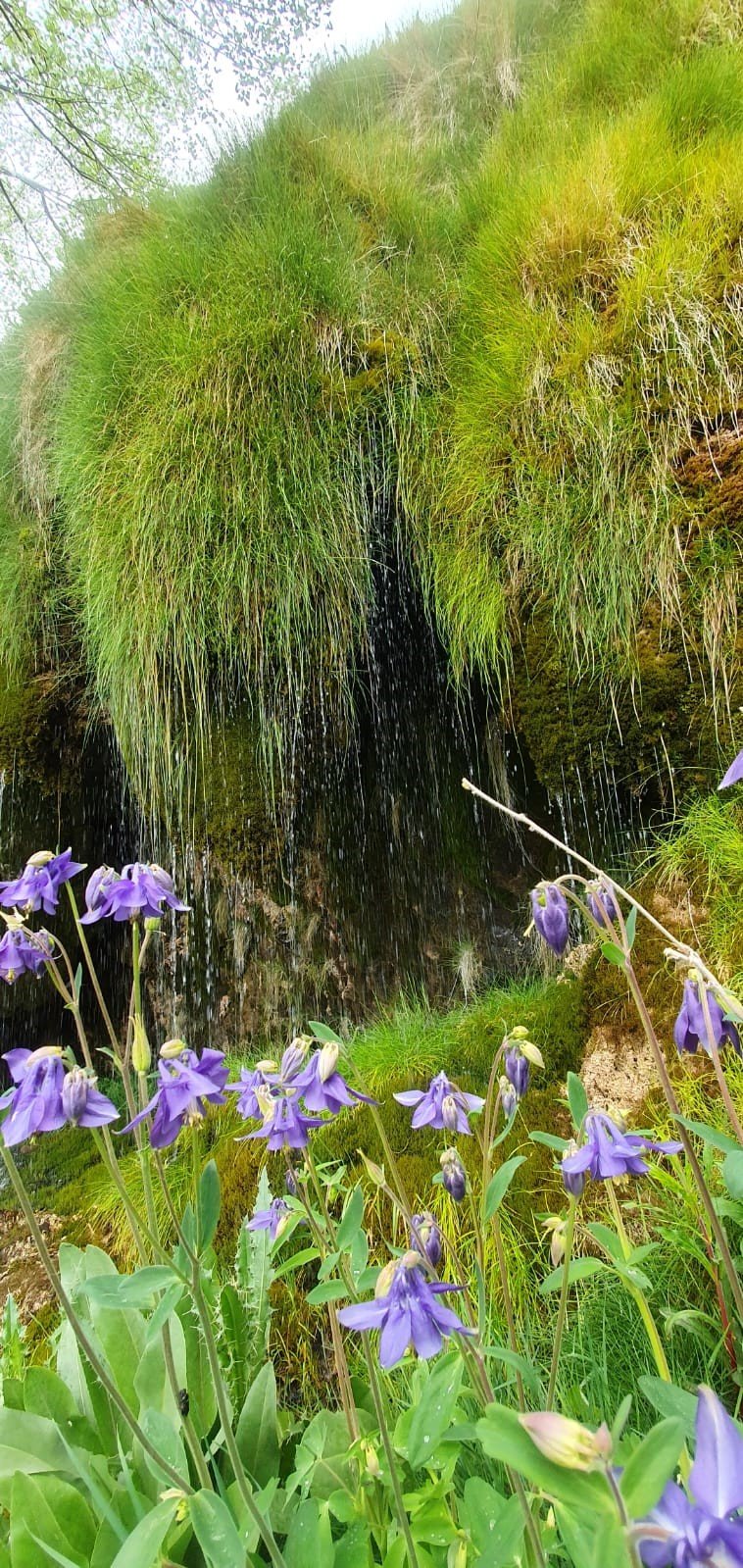 Pause bucolique sous une fontaine pétrifiante.