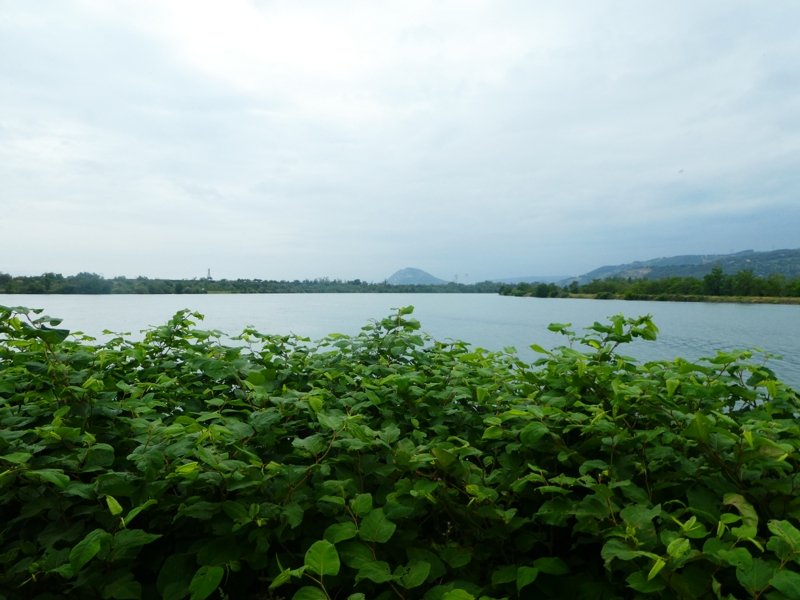 Confluence avec l Isere