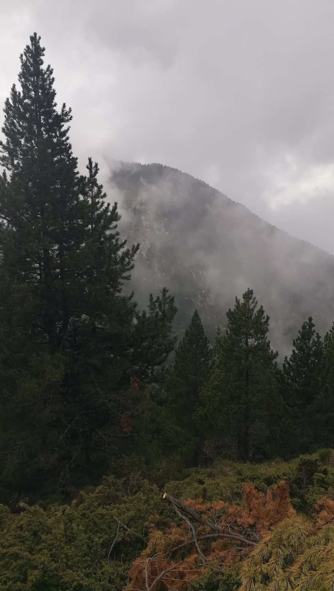 L'orage arrive à grands pas