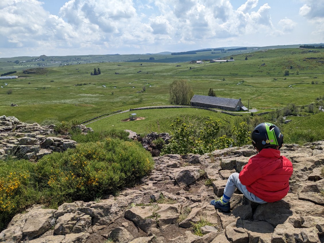 L'Aubrac, terre de vaches et de vélo ;-)