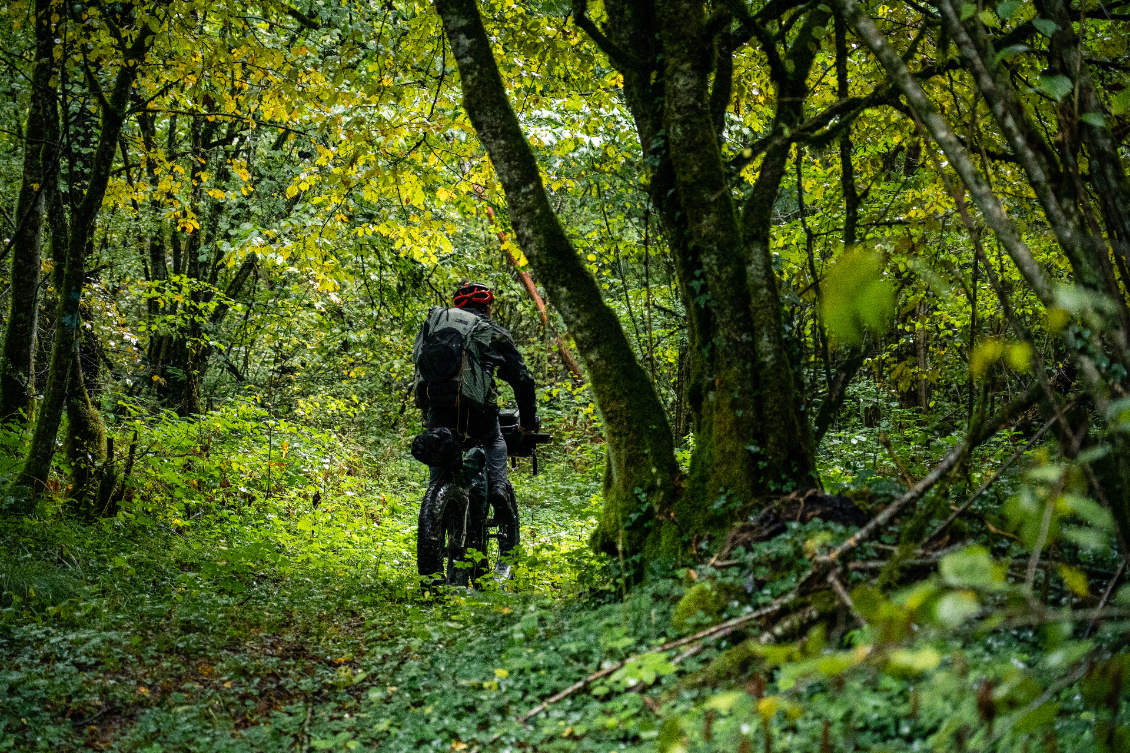 Puis on se faufile à travers la forêt par des pistes et sentiers.