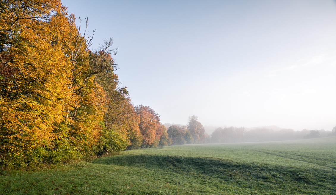 Au bivouac. La brume quotidienne se dissipe assez tôt, ouf !