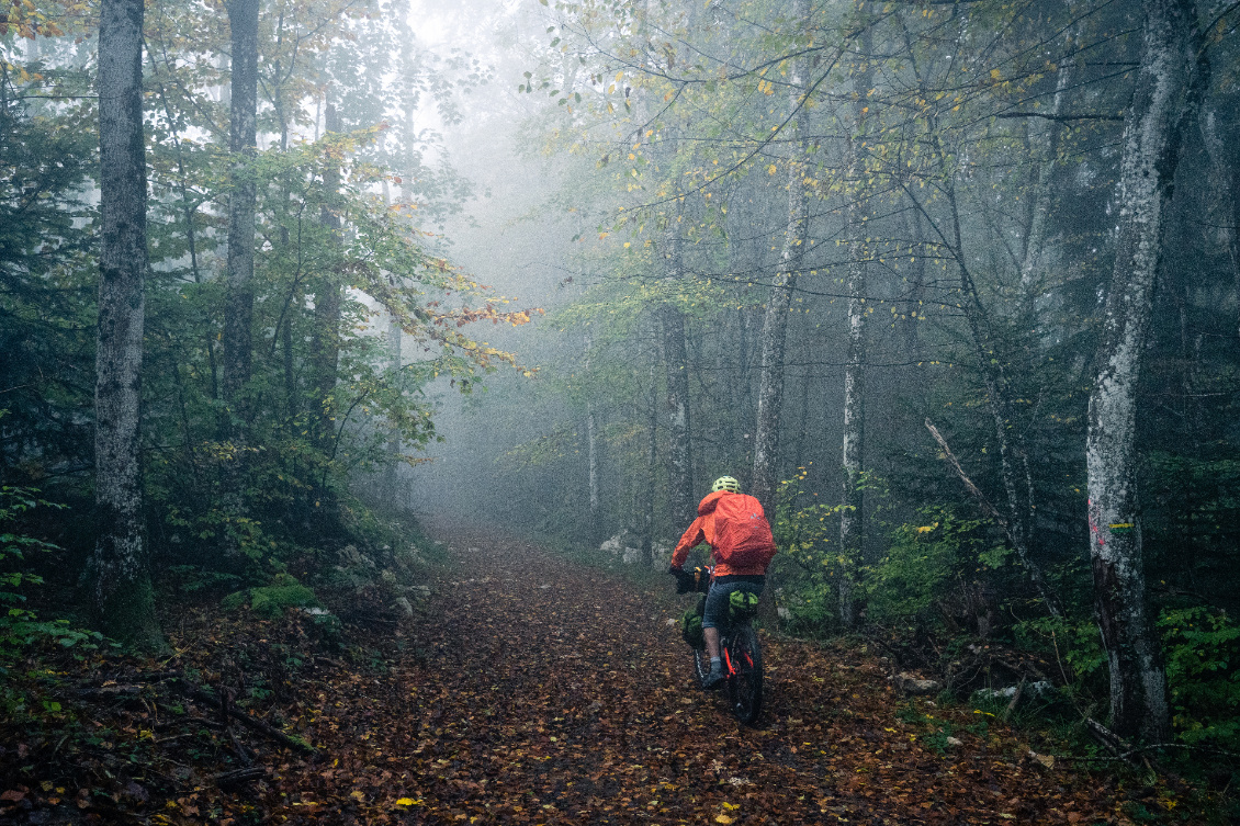 Je renoue avec le brouillard matinal !