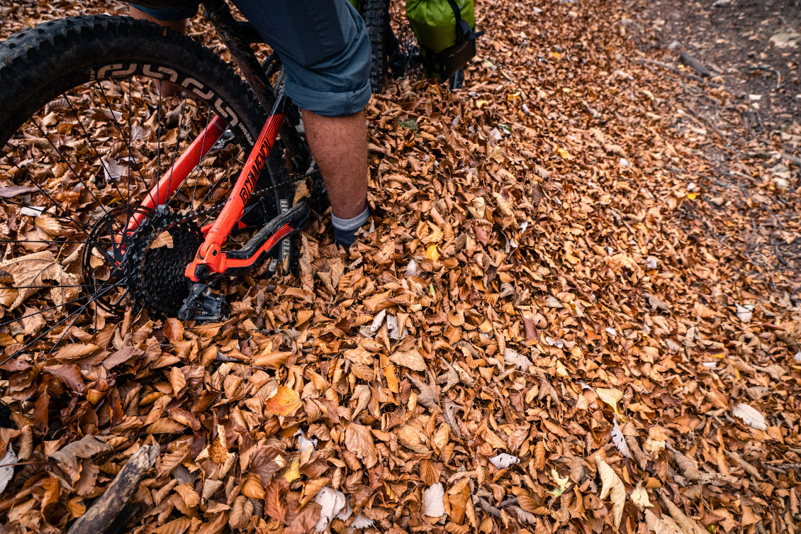 ... mais il y a tellement de feuilles au début que je galère à suivre le sentier !