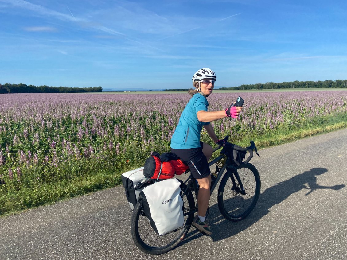 C'est quoi déjà ces fleurs?