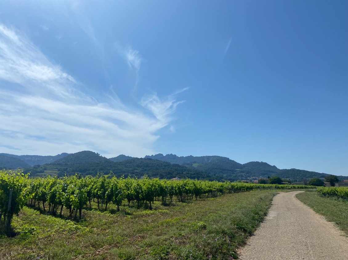 Au loin, les Dentelles de Montmirail