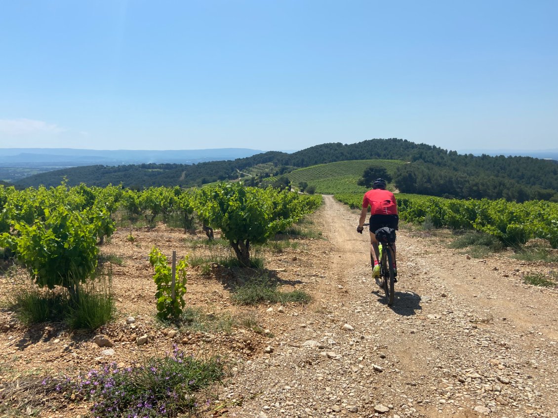 Ici, tous les noms de villages mettent l'eau à la bouche... Gigondas, Beaumes de Venise, Vacqueyras,...