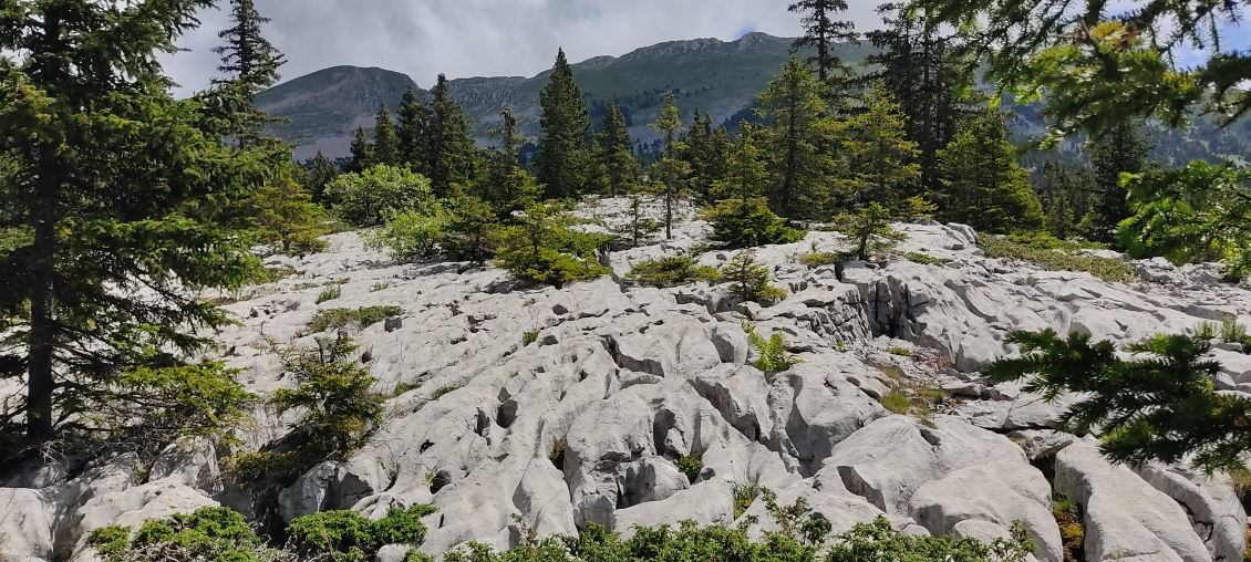 Lapiaz voleur d'eau, certes, mais on lui pardonne pour sa beauté.