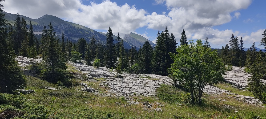 L'harmonie typique de ces Hauts Plateaux.