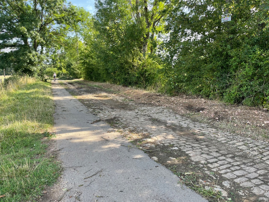 Section 3 du 13 juillet 2023