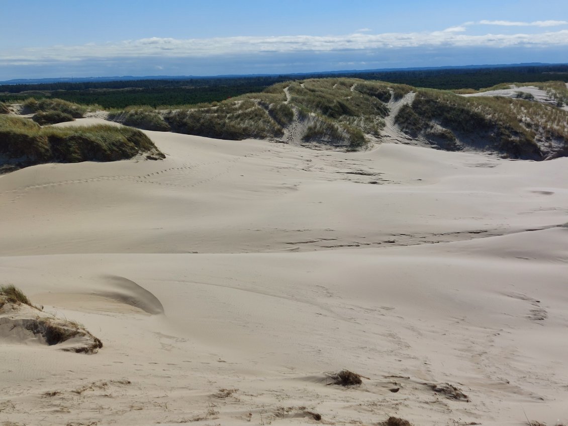 Désert de Rabjerg Mile