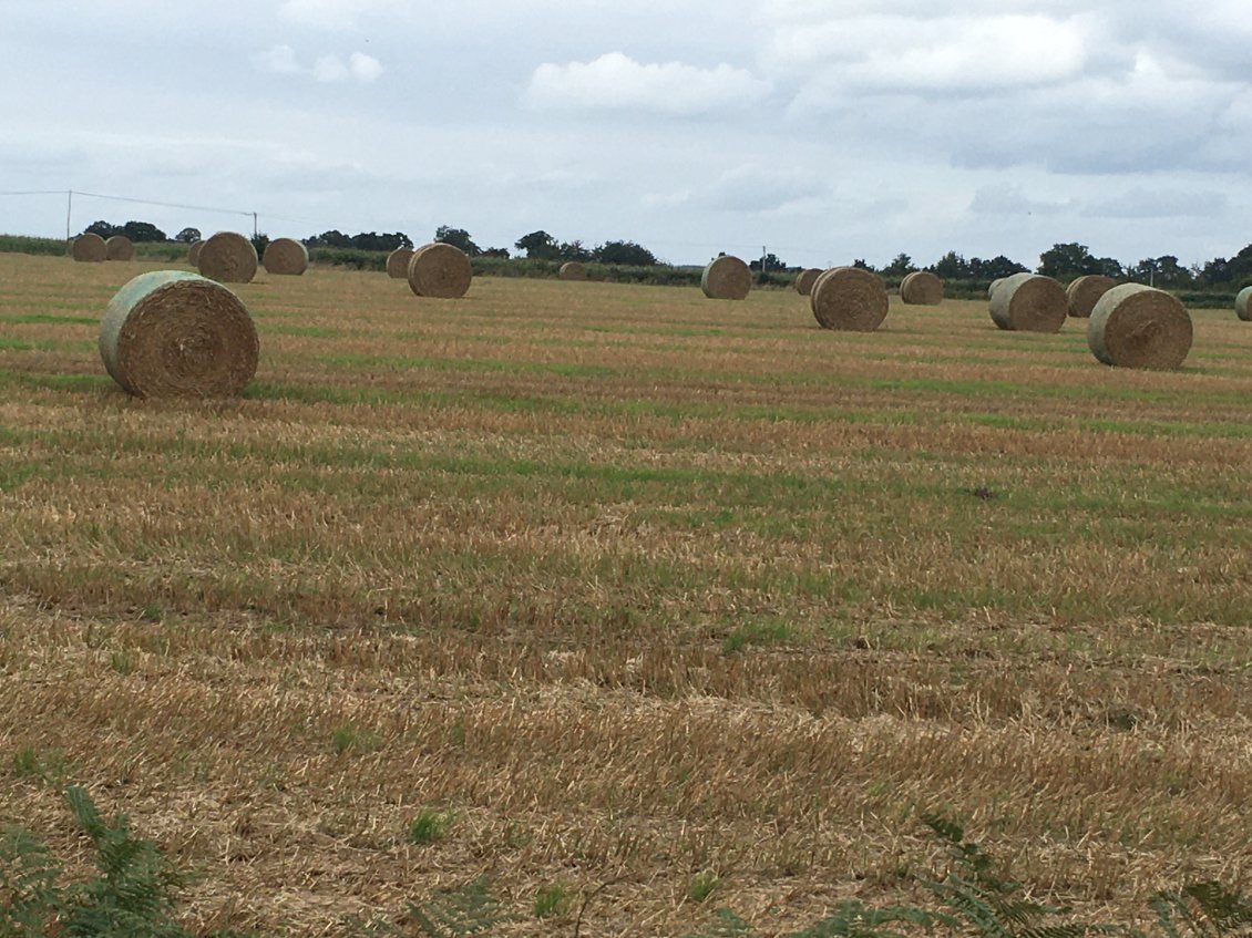 La campagne, toujours proche!