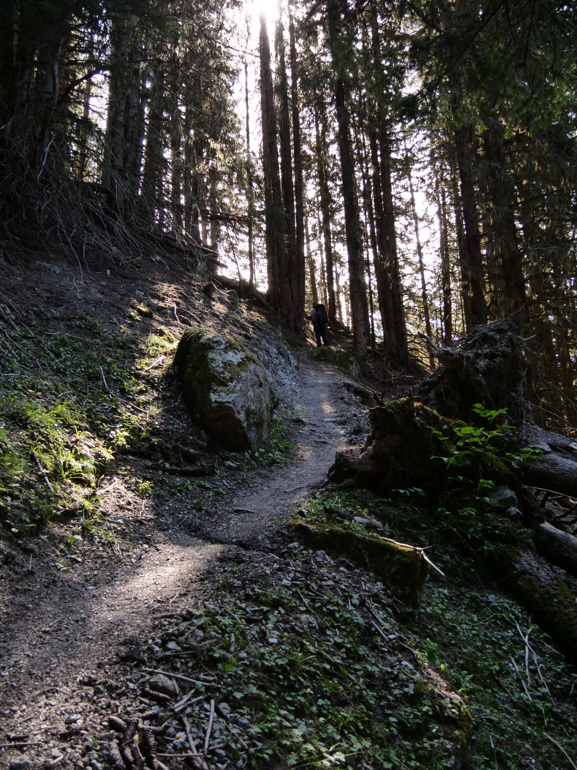 Sous la Tour de Merle