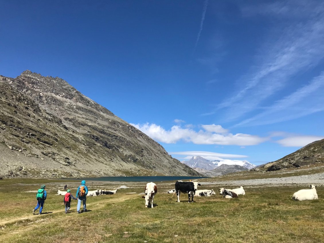 Jour 15 : lac et vallon de Savine