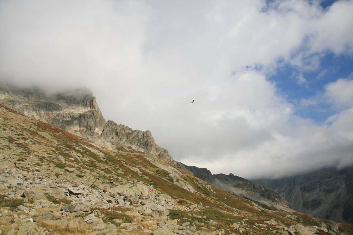 Jour 18 : en direction du Grand Vallon, l'Aigle Royal nous survole