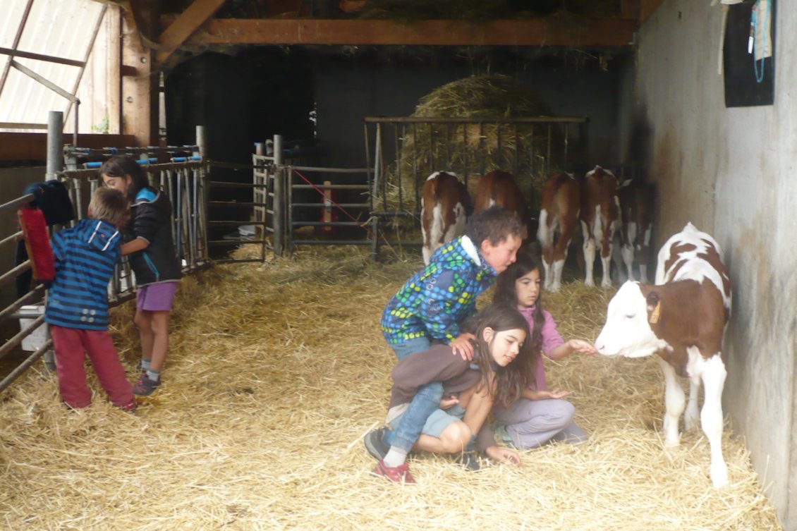 Jour 13 : Vincent nous héberge et on profite de la ferme